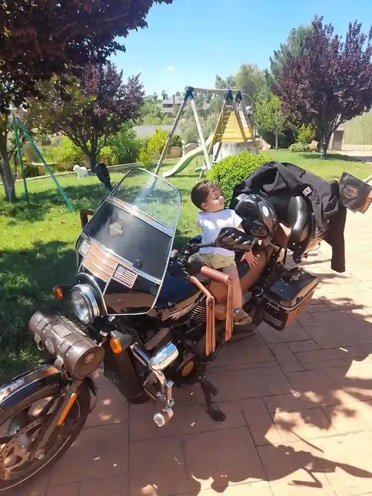 Moto HARLEY DAVIDSON SOFTAIL CROSS BONES DARK CUSTOM de seguna mano del año 2019 en Burgos