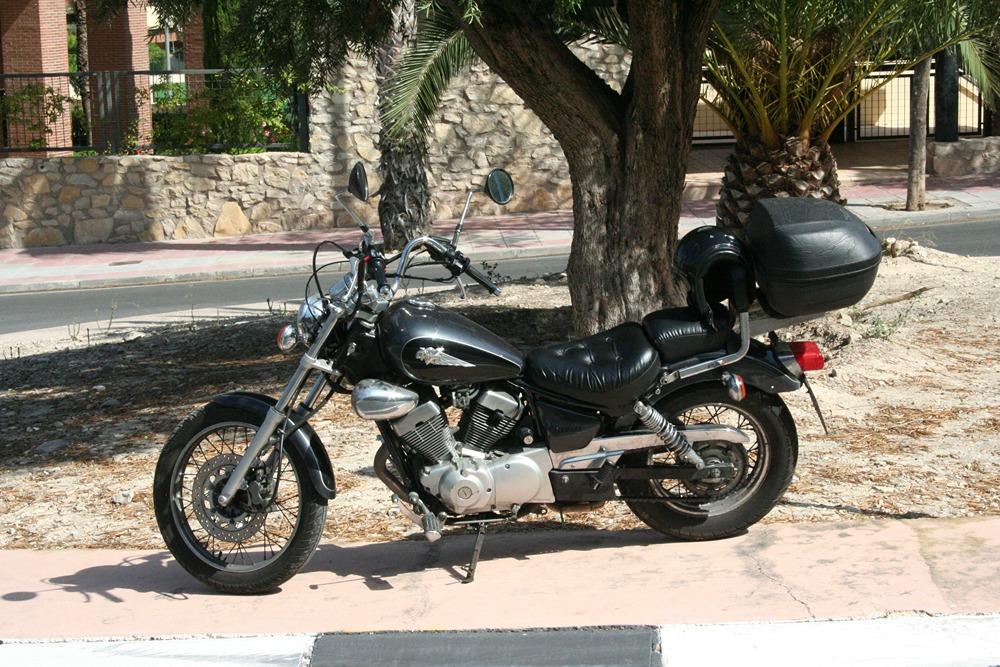 Moto YAMAHA XV 250 VIRAGO de seguna mano del año 1998 en Alicante